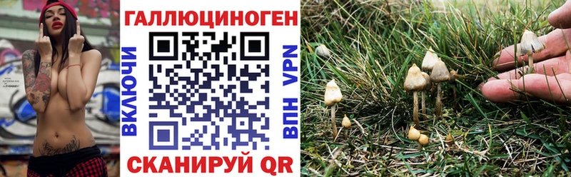блэк спрут рабочий сайт  Грязи  Псилоцибиновые грибы Psilocybine cubensis 