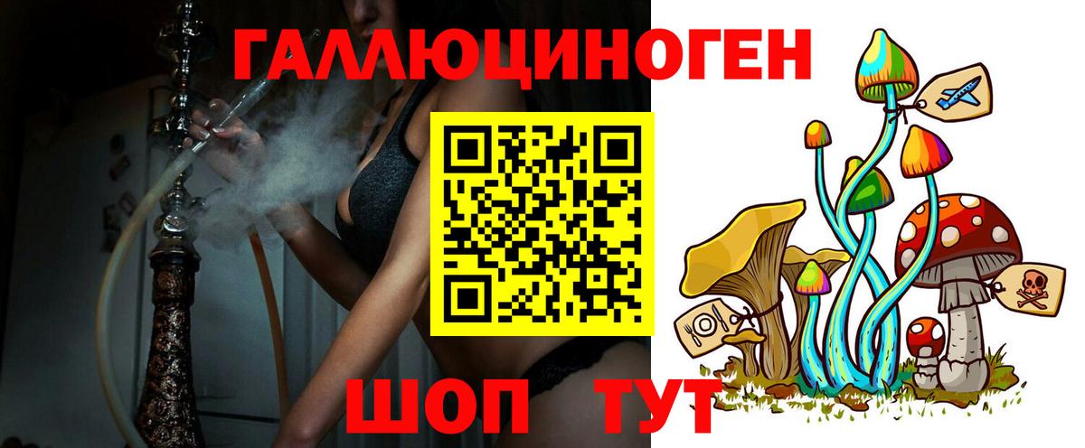 Псилоцибиновые грибы Cubensis Грязи
